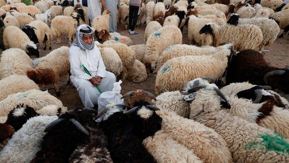Fraud Warning Issued Over Eid Sacrifice Sale Ads