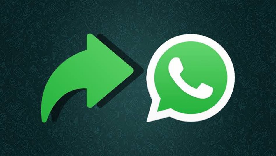 WhatsApp mesaj kaynağını gösteren özellik test ediyor