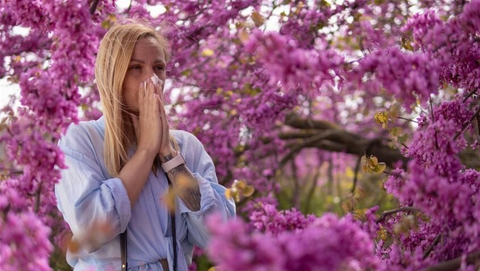 هدية جميلة بداخلها مرض دائمي.. احذروا هذه الزهور