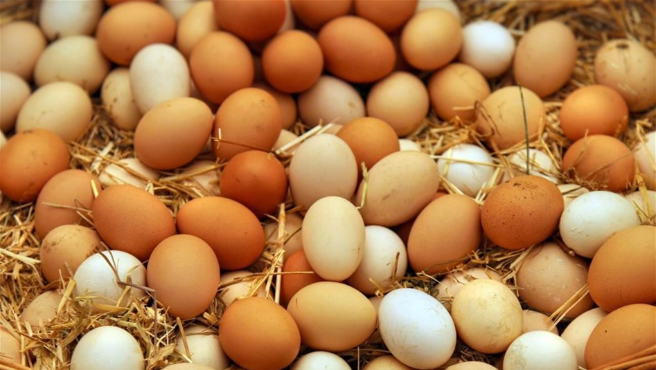 ABD'de Salmonella salgını: yumurta ve jalapeño biberi şüphesi
