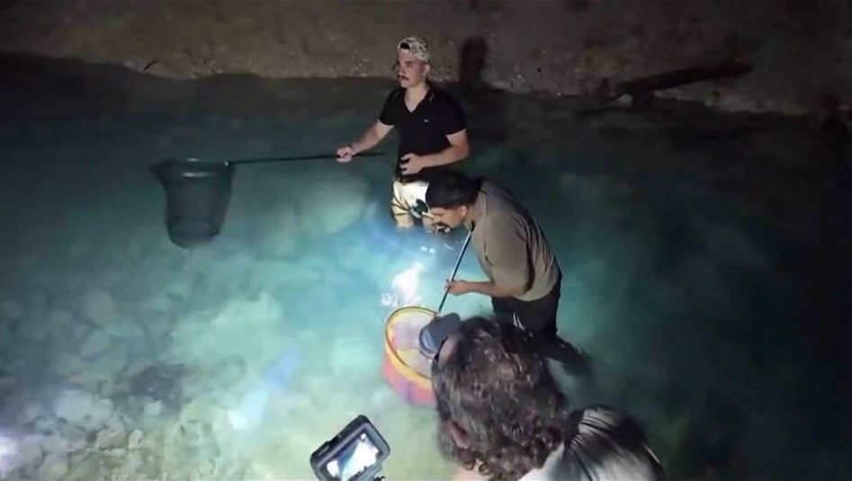 بيئة الأنبار تحسم الجدل حول ظهور أسماك "بلا عيون" في قضاء حديثة