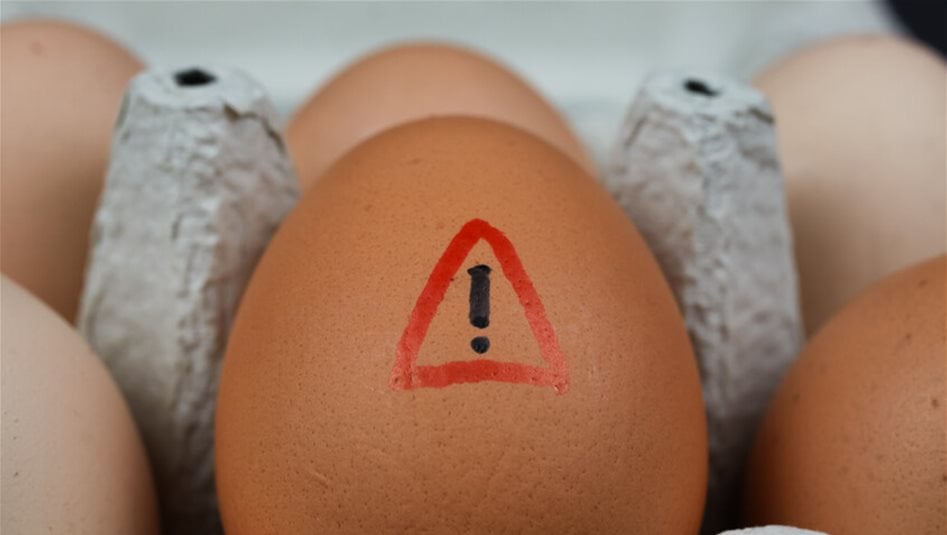 تفش واسع للسالمونيلا ومخاوف من ارتباطه بالبيض