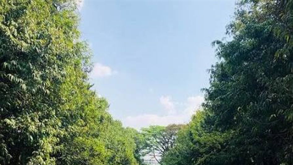 شاهد.. متنزه جديد في الهند من الخردة