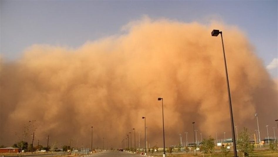 بالفيديو.. زائر غير مرحب به يدخل العراق
