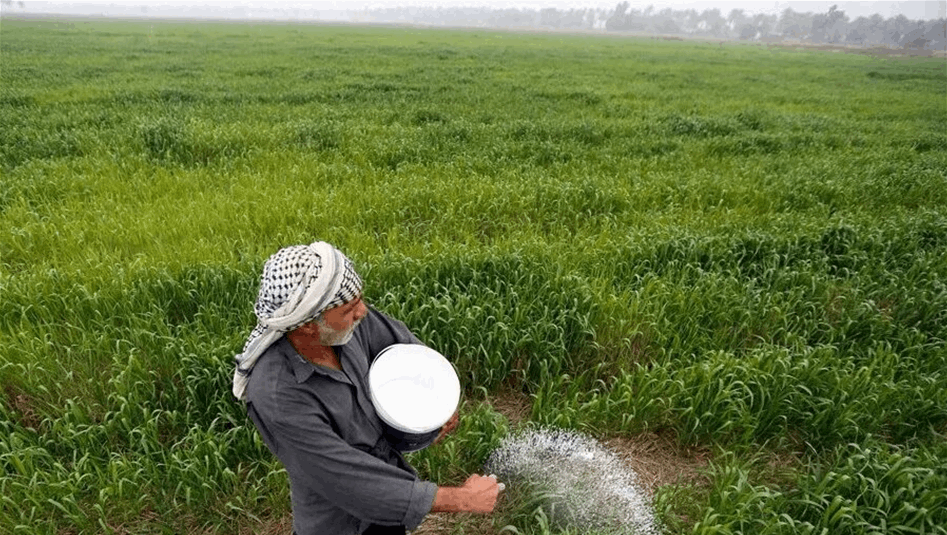 توسيع مساحة الخطة الزراعية الشتوية