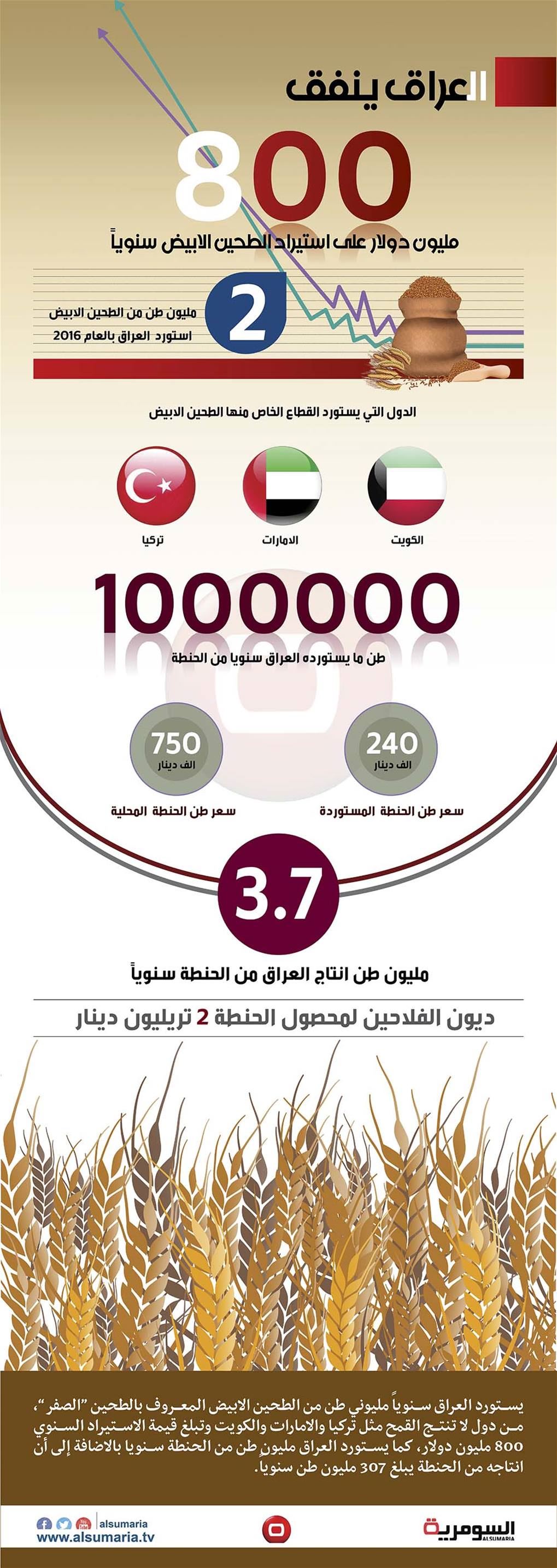 بالانفوغراف.. العراق ينفق 800 مليون دولار سنوياً على الطحين الابيض