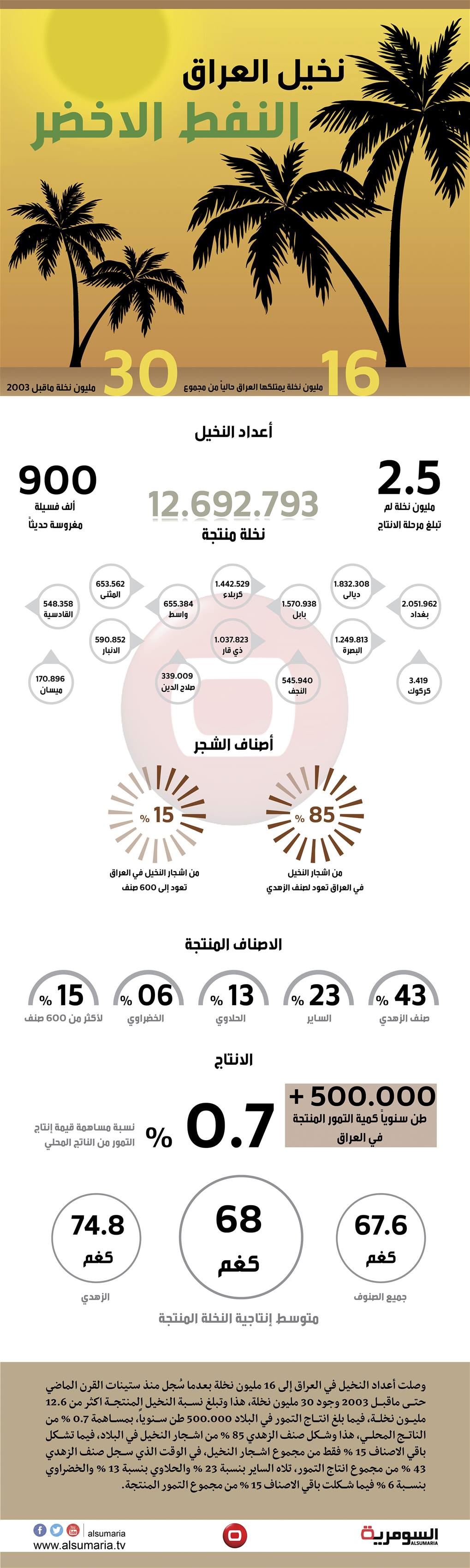 بالانفوغراف نخيل العراق.. النفط الاخضر 