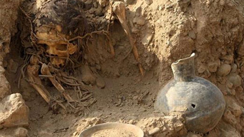 مومياء عمرها 7 آلاف عام تفاجئ طلاباً في رحلتهم المدرسية