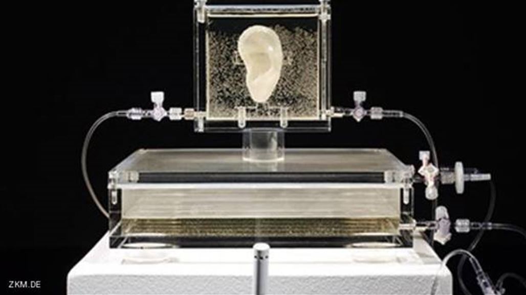 متحف ألماني يعرض أذن "فان جوخ"