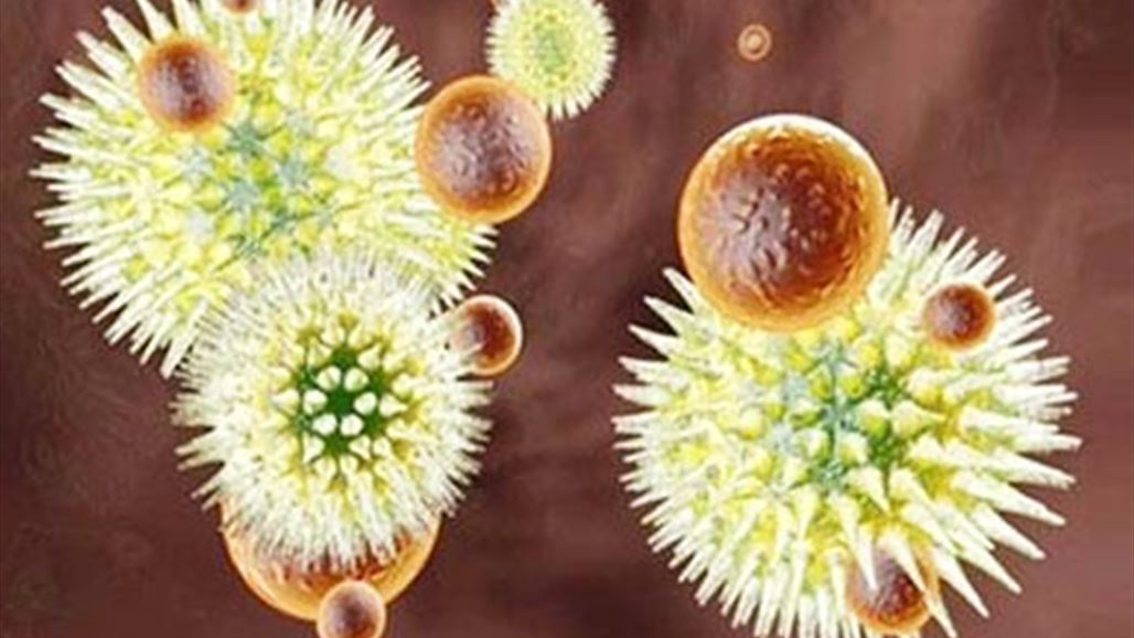 6 حقائق عن فيروس "إيبولا" الذي يهدد البشرية!
