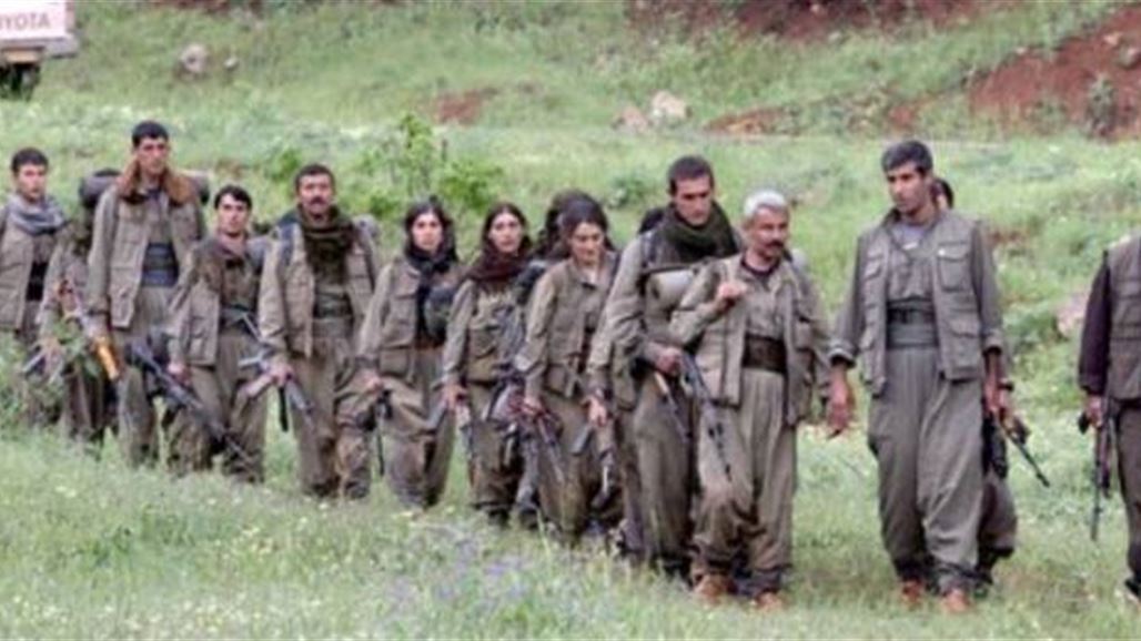 عضو بمفوضية حقوق الإنسان يعلن دخول قوة من تركيا لحماية المناطق الكردية