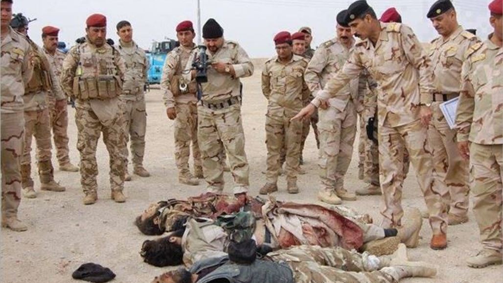 مقتل 13 مسلحا من "داعش" بقصف لقوات الجيش في ناحية بروانة بحديثة