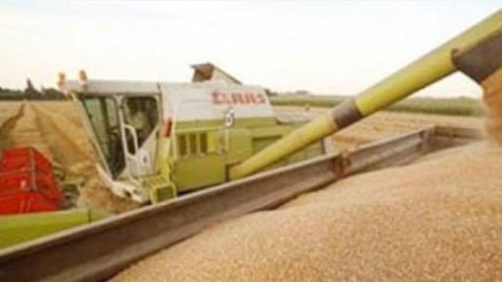 سوريا تلغي صفقة بيع 200 ألف طن من القمح للعراق