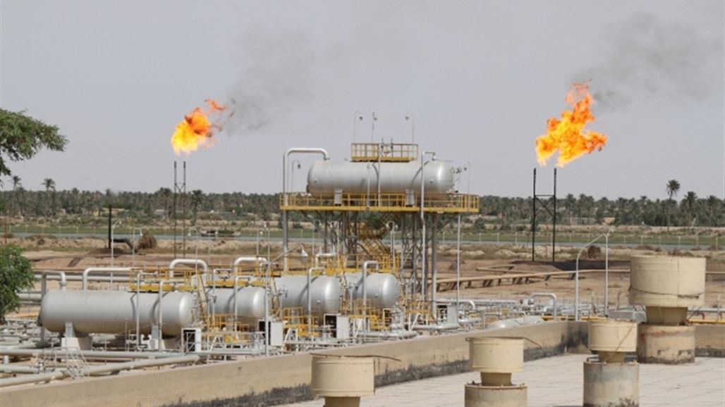 مجلس البصرة يكشف عن تجهيز شركة نفط اجنبية بلحوم الحمير على انها ابقار