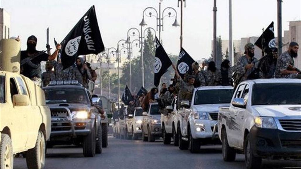 رويترز: الدولة الإسلامية ترفع رايتها على الجانب الشرقي من كوباني