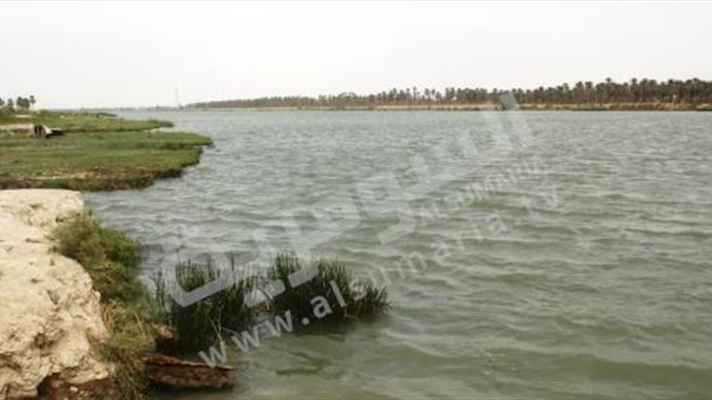 باحثة بصرية تتوصل الى طريقة لإنتاج الوقود الحيوي من طحالب شط العرب