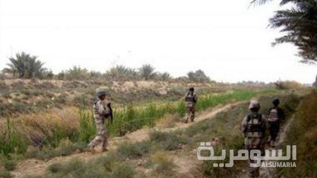 عشق "الثمرة الصفراء" يدفع امرأة مسنة لمهمة انتحارية في ديالى