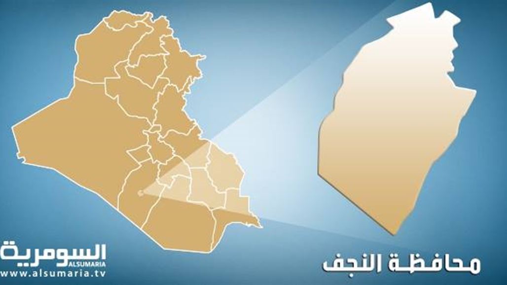 مواطن نجفي يسلم مفتشية الآثار 50 قطعة أثرية تعود لعهد قبل الإسلام