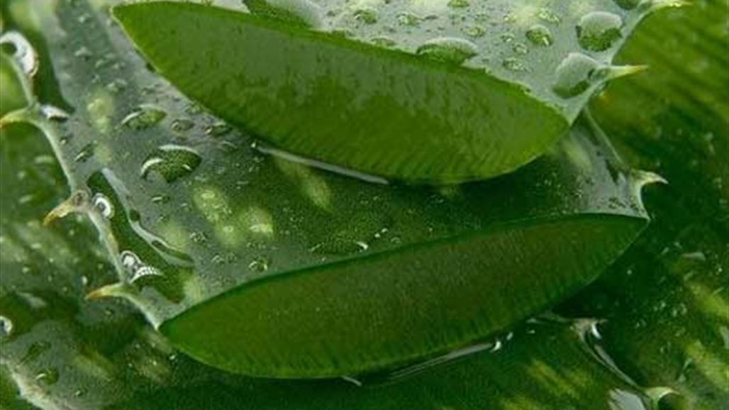 مشروب يقضي نهائيًا على مرض السكري!