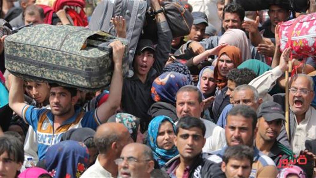 مسؤولة محلية بالأنبار: مشاكل كثيرة تواجه النازحين ونحاول معالجتها بكافة الوسائل المتاحة