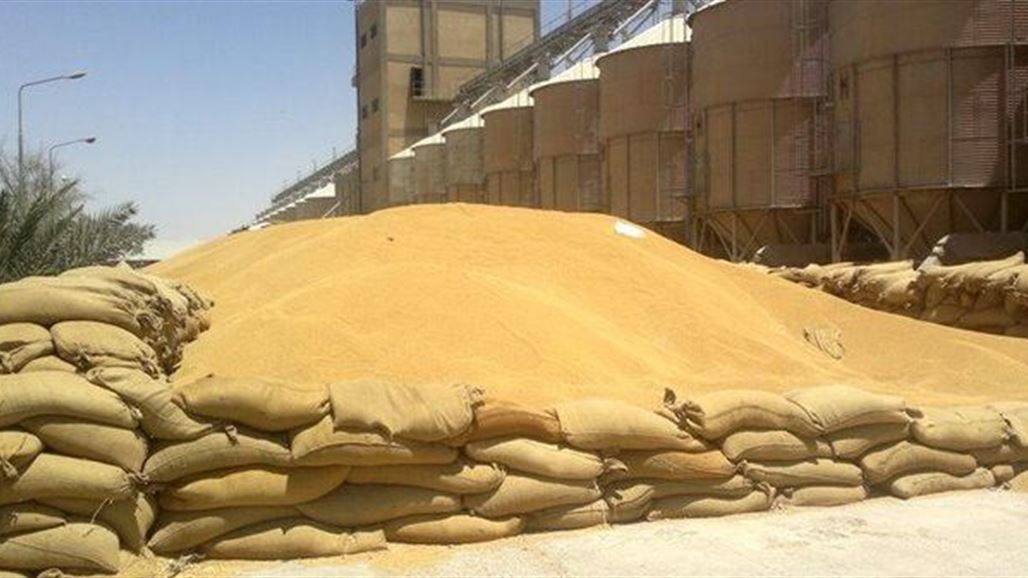الزراعة النيابية تحذر من تسويق الحنطة المنهوبة وتدعو لتشديد اجراءات فروع التسويق