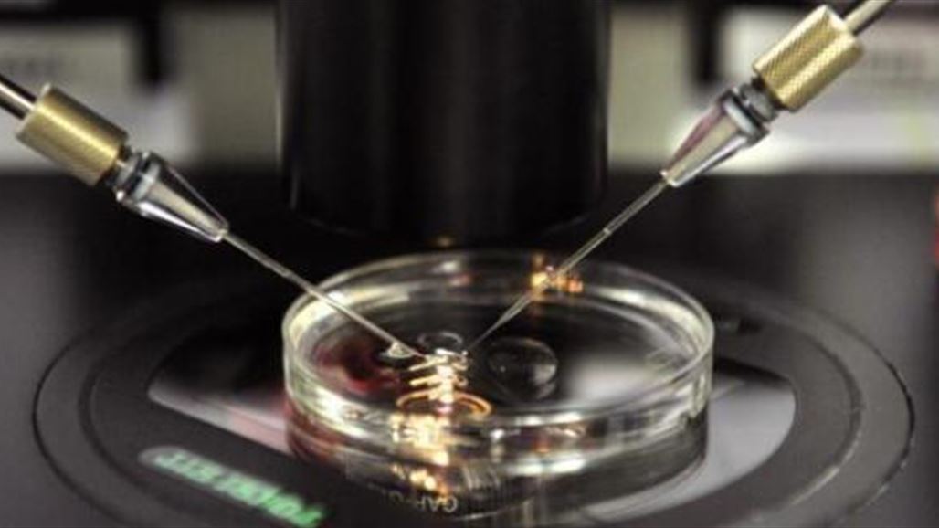 علماء يطورون حيواناً منوياً يشكل أملاً لعلاج العقم