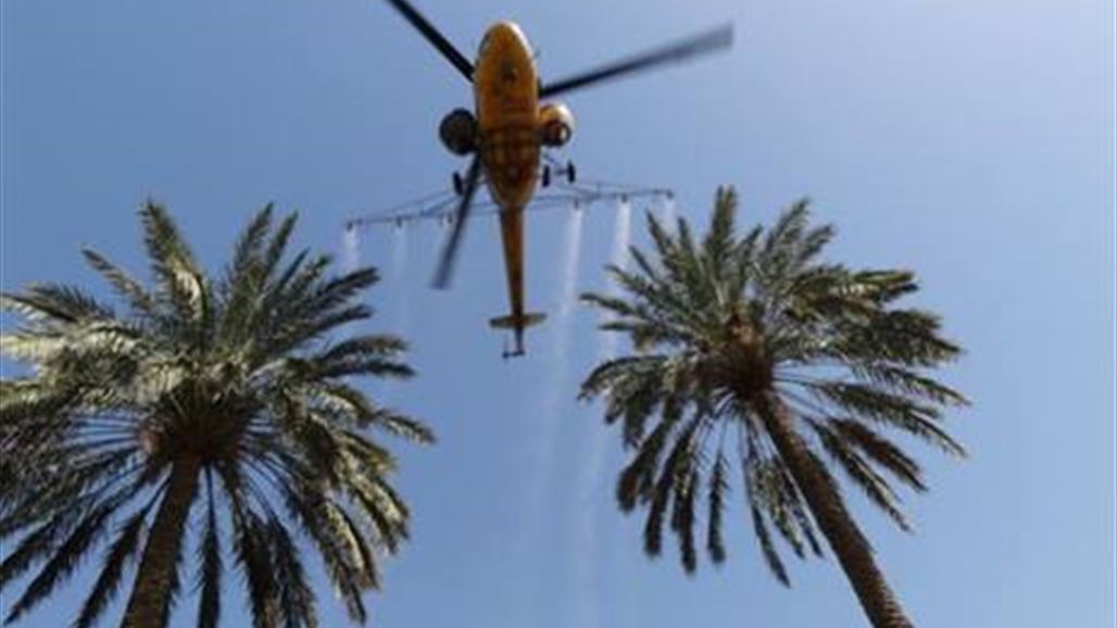 زراعة بابل تعلن رش 13 الف دونم منذ بدء انطلاق حملة مكافحة الدوباس