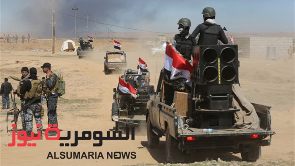 نائبة: مشاركة الحشد بعمليات تحرير الانبار ستلجم اصوات التقسيم النشاز