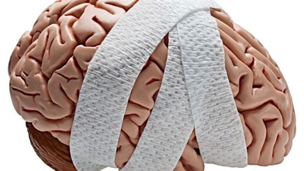 علماء: العدوانية سببها موت خلايا الدماغ