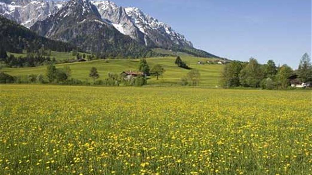 ماذا يحصل إن نظرت إلى هذه الصورة لمدّة 40 ثانية؟