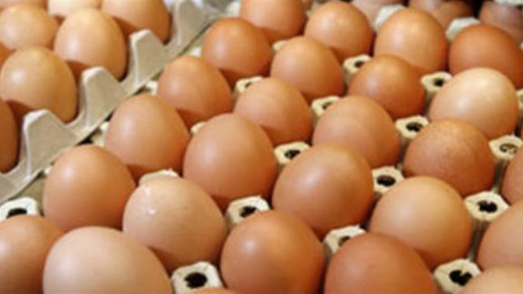 رقابة كربلاء تكشف عن رفض مسؤول محلي إتلاف 200 طن من البيض الفاسد