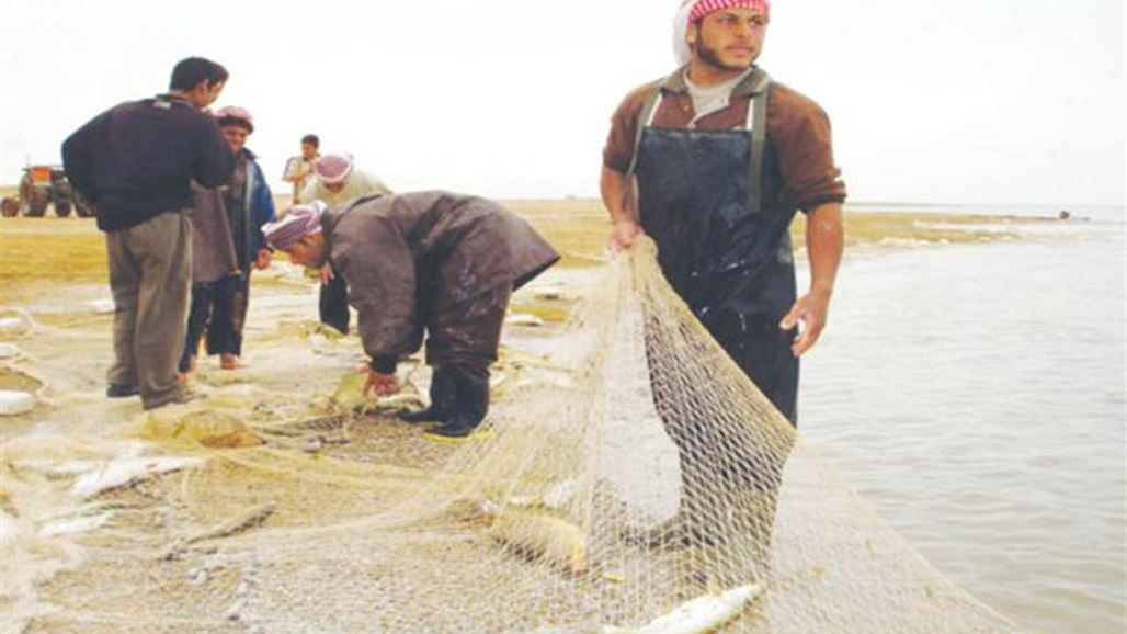 عزوف مزارعي تربية الاسماك بالبحيرات الطينية مع انتشار الاقفاص العائمة ببابل