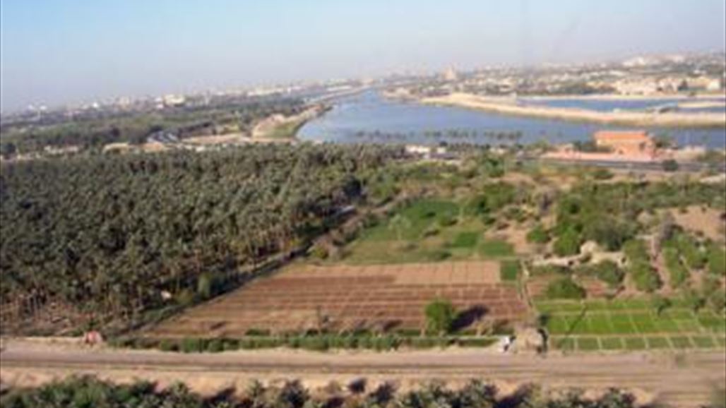 مجلس ديالى: 20% فقط من الاراضي الخصبة مستثمرة في الزراعة