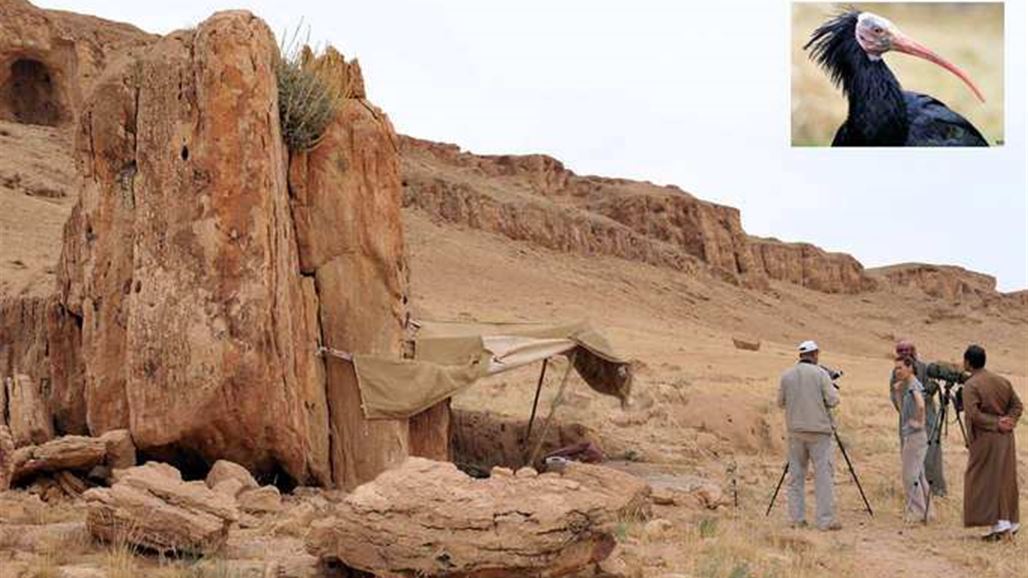 عقيلة الأسد تناشد لإنقاذ "الأصلع" وسط حرب طاحنة تشهدها سوريا