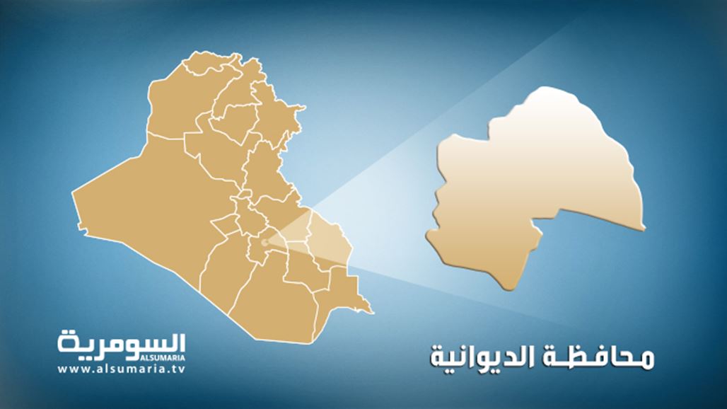 القبض على ثلاثة أشخاص بتهمة السرقة والمخدرات في الديوانية