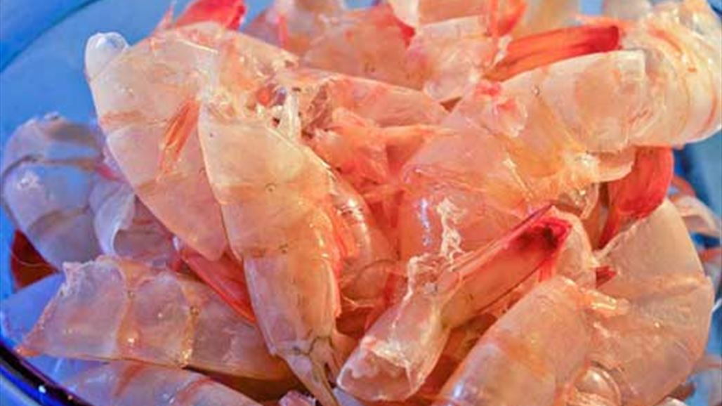 ما علاقة الروبيان بنزيف الجروح؟