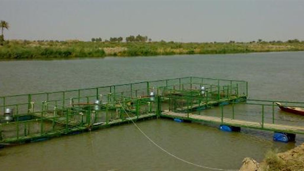 مجلس المسيب يطالب بقوة أمنية لإزالة 100 قفص عائم على الفرات