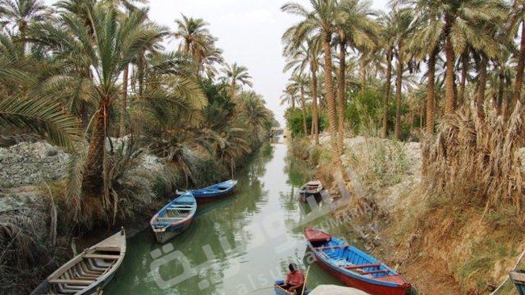 زراعة البصرة تعلن قضاء مياه البحر على زراعة الحناء في الفاو