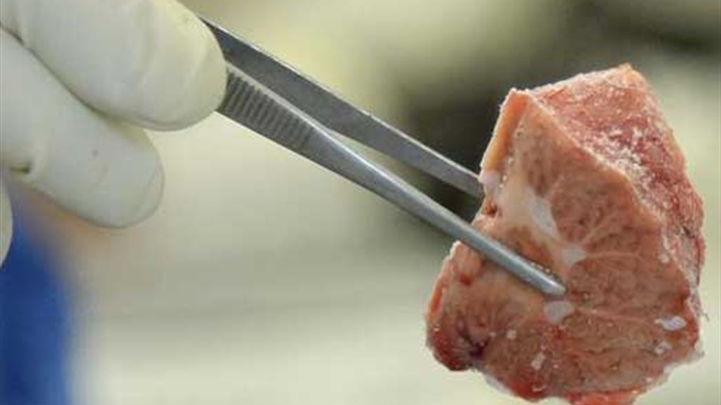 بالصورة: إنتاج "دماغ بشري" شبه مكتمل