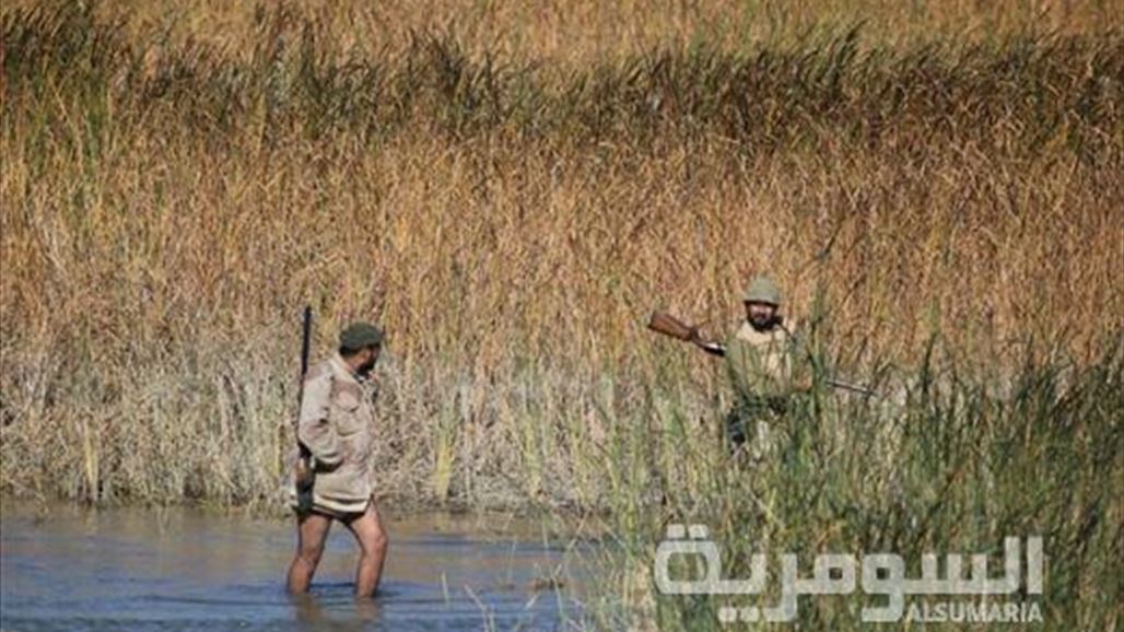 مندلي تحذر من انقراض بعض الحيوانات بسبب "الصيد الجائر"