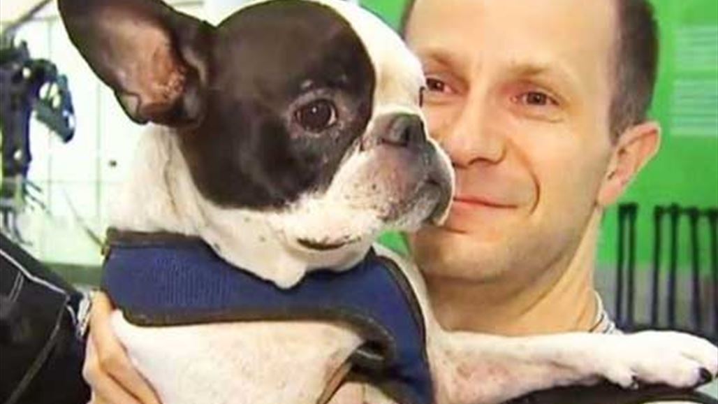 غّير مسار رحلة دولية لإنقاذ حياة كلب