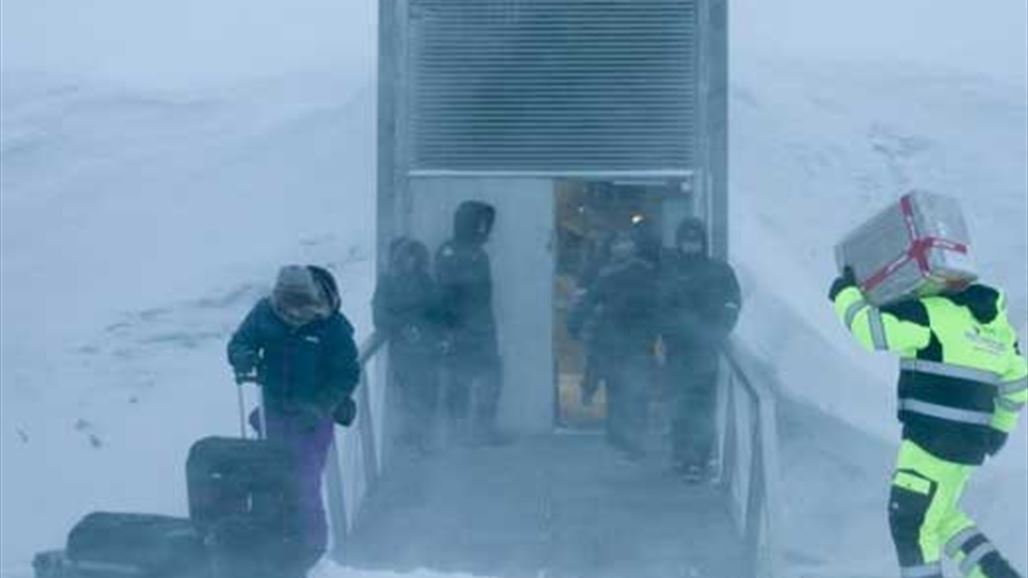 الحرب السورية تدفع لسحب بذور من "قبو يوم القيامة"