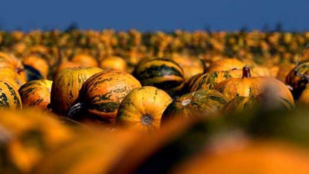 للرجال فقط...هذه هي فوائد اليقطين