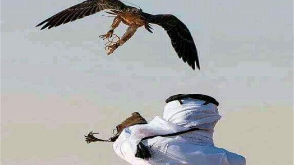 محافظ المثنى يروي لـ السومرية نيوز تفاصيل عملية اختطاف الصيادين القطريين