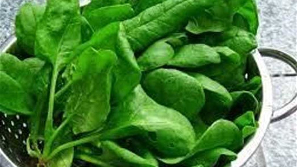 دراسة جديدة تكشف عن فائدة مذهلة للسبانخ