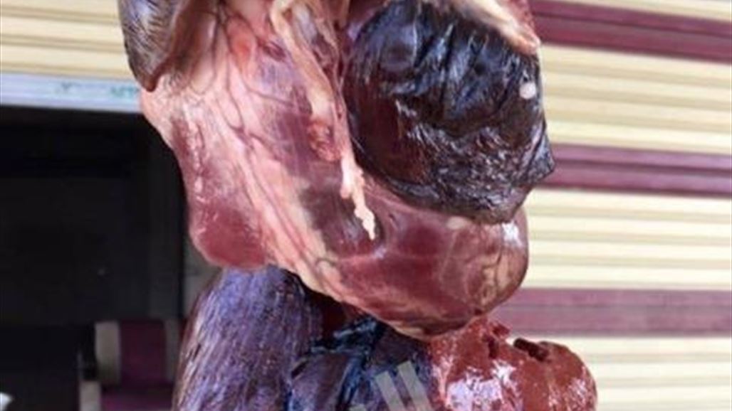 صحة كركوك تغلق محلا لبيع اللحوم بعد مصادرة ٧٦ كغم منه