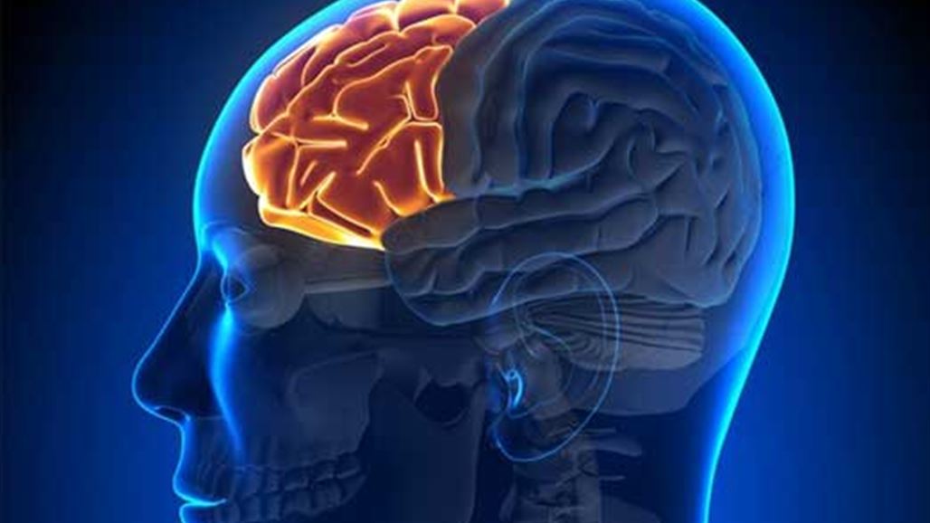 سبع خرافات لا تصدّقها عن دماغك !