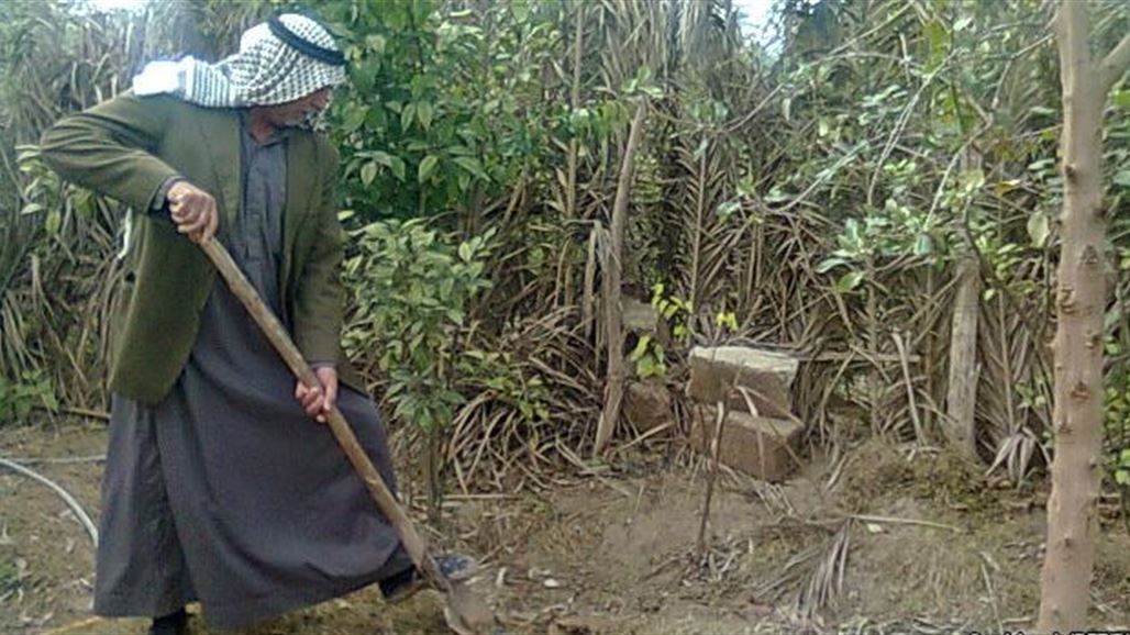 مقتل ثلاثة مزارعين من اهالي ديالى في بستان زراعي ببغداد