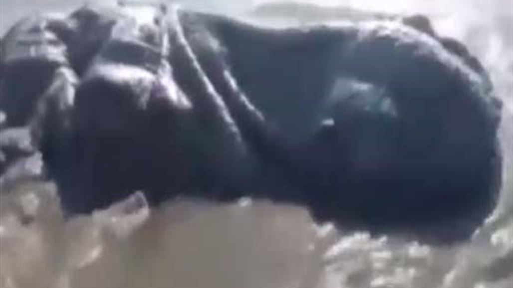 هل ظهر "وحش البحر"؟