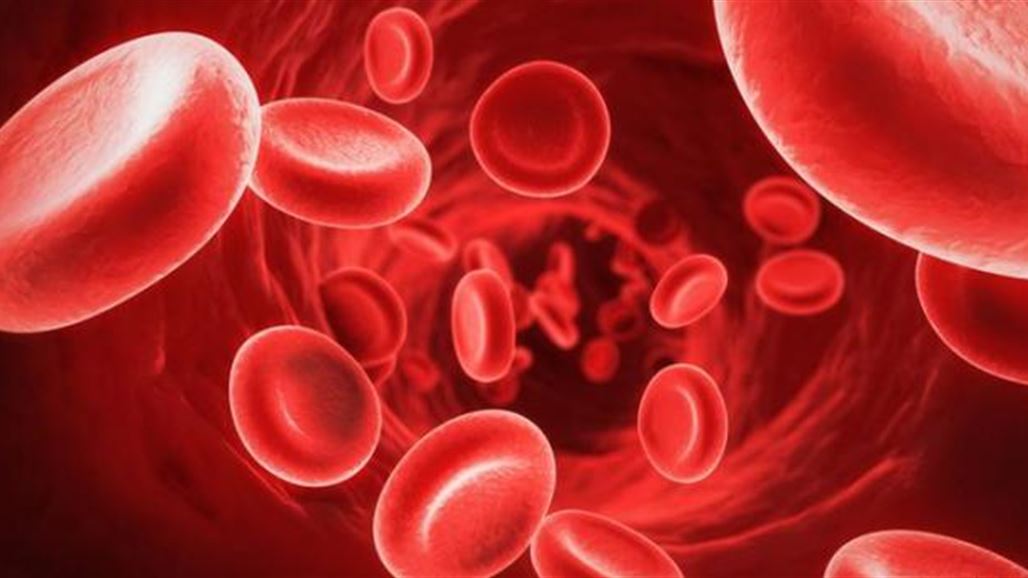 اكتشاف أجسام مضادة في الدم تقي من تصلب الأوعية الدموية